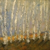 Birken - Öl auf Leinwand 80 x 80 cm